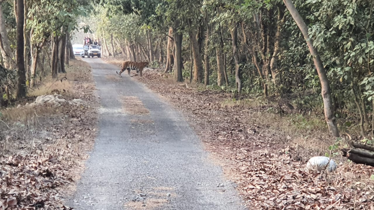 घुमक्कड़ी जिंदाबाद : चूका बीच और टाइगर रिजर्व का आँखों देखा कानो सुना हाल 